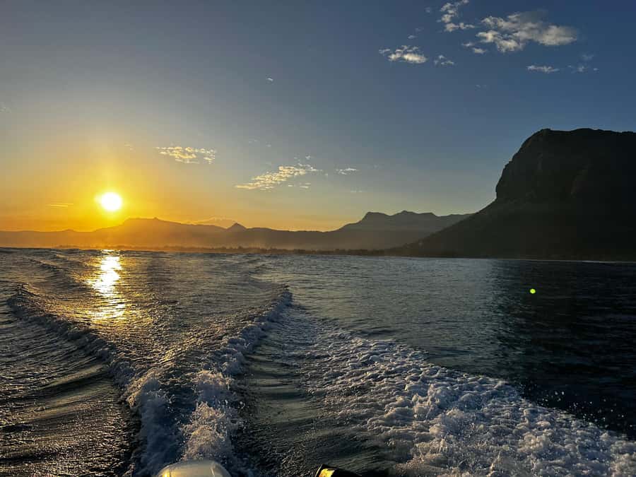 Mauritius Le Morne: Eco-Friendly Dolphin Watching Tour - Boat comfort, safety, and group size