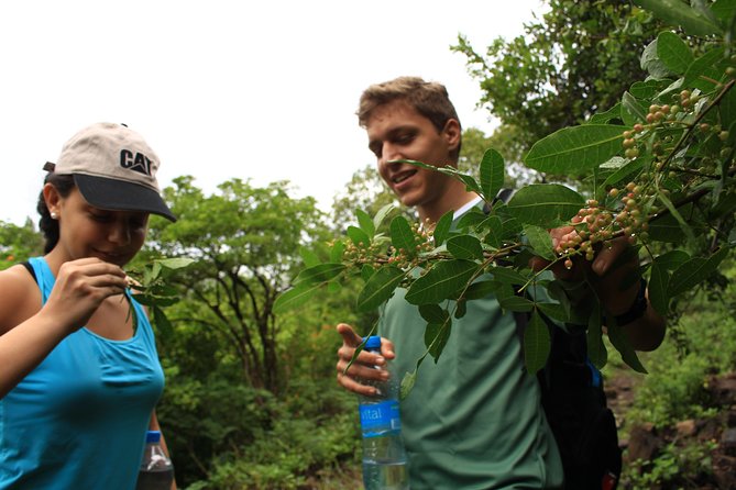 Mauritius Le Morne Hiking including transfer - Who Will Like This Hike Most?
