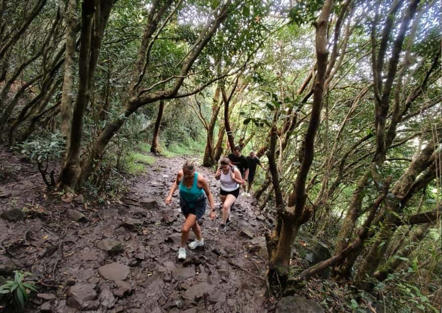 Mauritius: Le Pouce Guided Hiking Experience with a local - Why Le Pouce is worth your time
