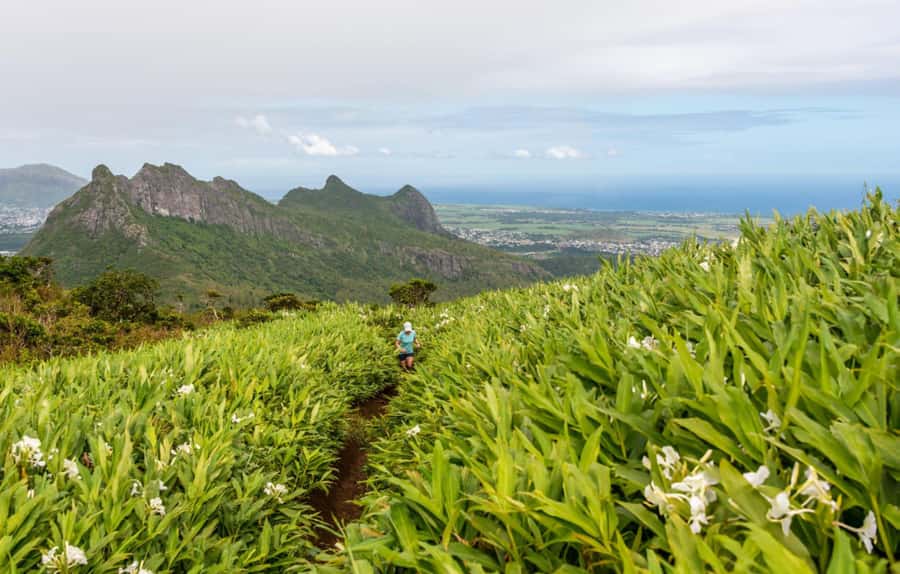 Mauritius: Le Pouce Guided Hiking Experience with a local - Is $55 per person a fair price?