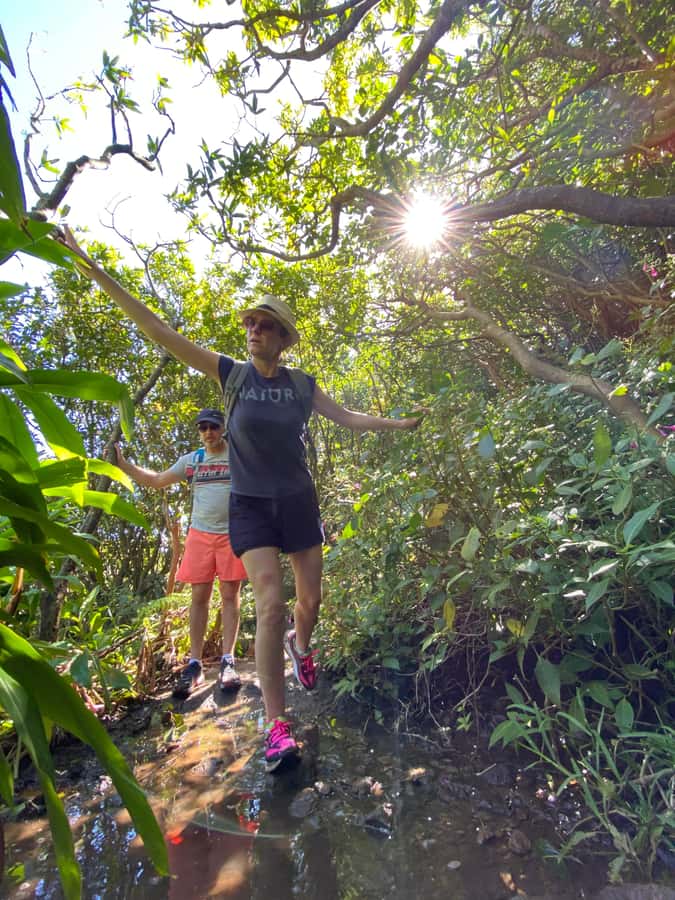Mauritius Natirel : 7 cascades valley waterfall discovery - Plants, wildlife, and island stories