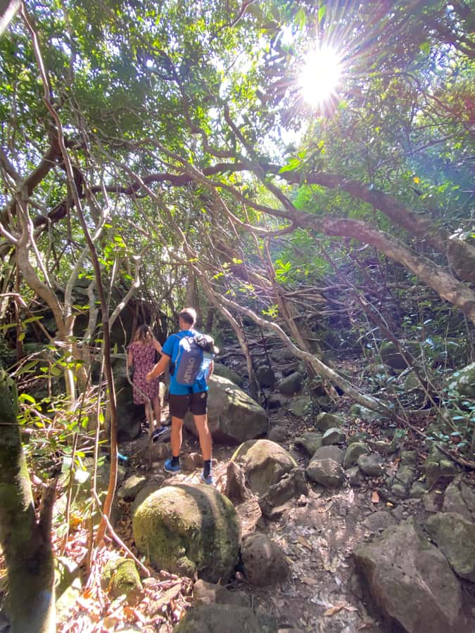 Mauritius Natirel : 7 cascades valley waterfall discovery - What the $44 price really buys