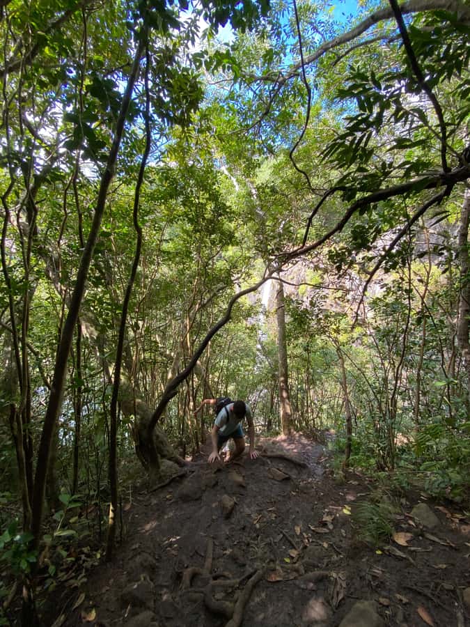 Mauritius Natirel : 7 cascades valley waterfall discovery - Fitness, weather, and safety