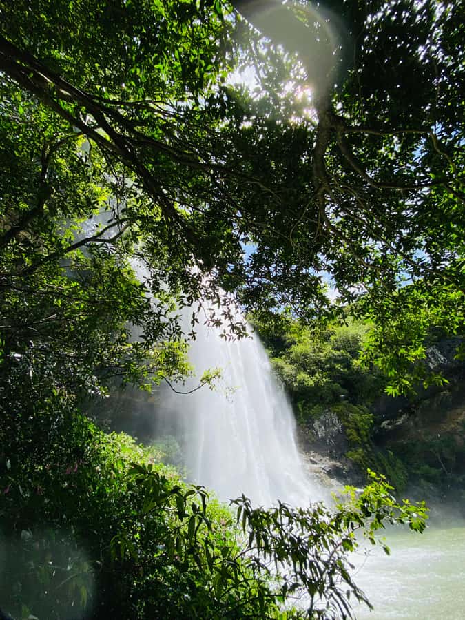 Mauritius Natirel : 7 cascades valley waterfall discovery - What the guide adds to the day