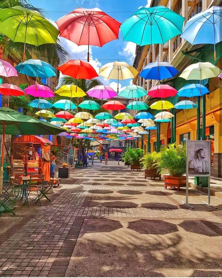 Mauritius North: Private Paradise Tour with Gardens, Markets - Key points at a glance