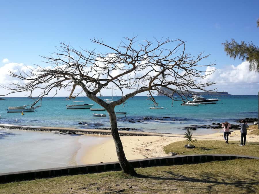 Mauritius North: Private Paradise Tour with Gardens, Markets - Aventure Du Sucre: Mauritius through sugar