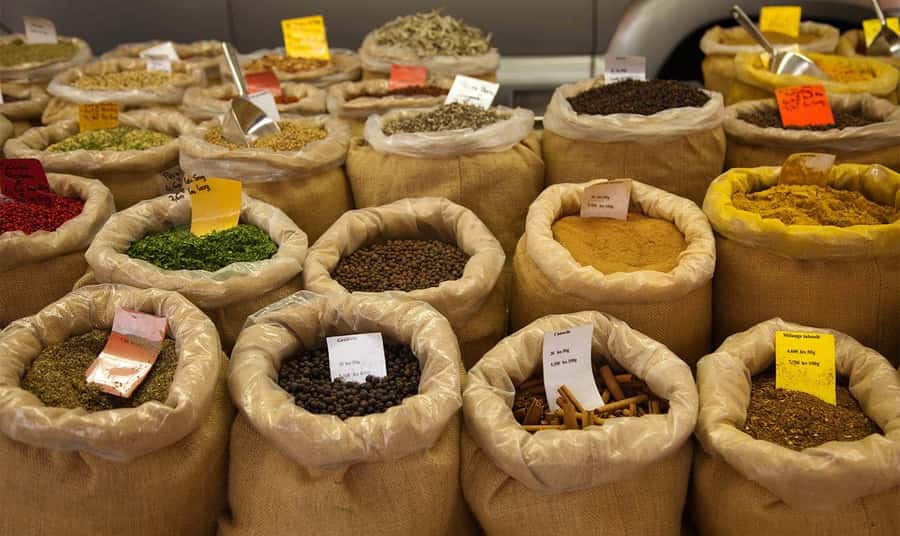 Mauritius: North Tour with Tea Tasting & Oceanarium Visit - Odysseo brings marine life into the final hours