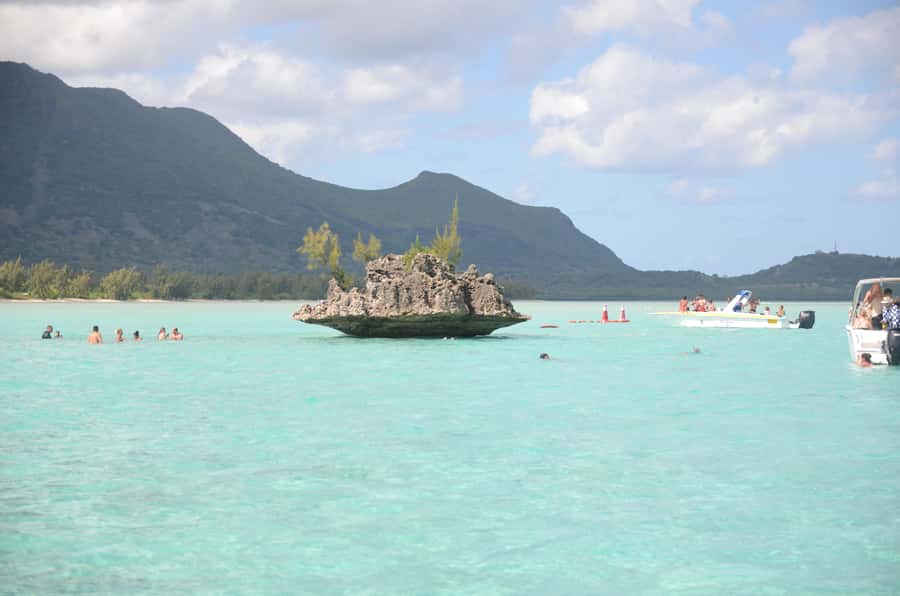 Mauritius: Ocean Swim with Dolphins - Key points at a glance
