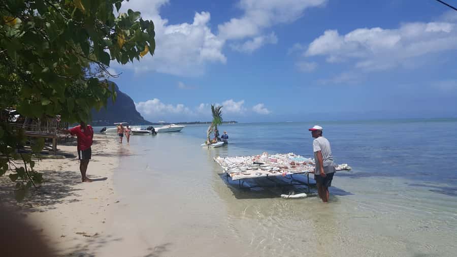 Mauritius: Ocean Swim with Dolphins - Who should book this Mauritius boat trip?