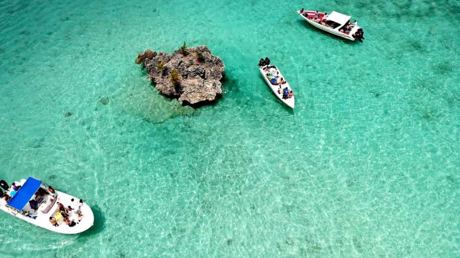 Mauritius: Ocean Swim with Dolphins - My verdict on the dolphin swim and island BBQ