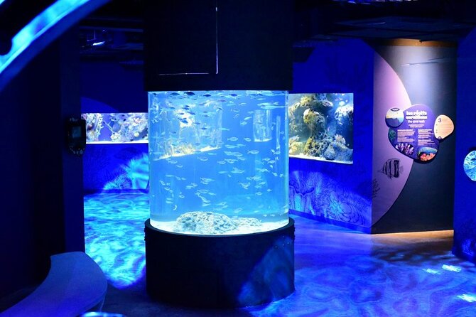 Mauritius Odysseo Oceanarium in Port Louis - A major marine attraction in Port Louis