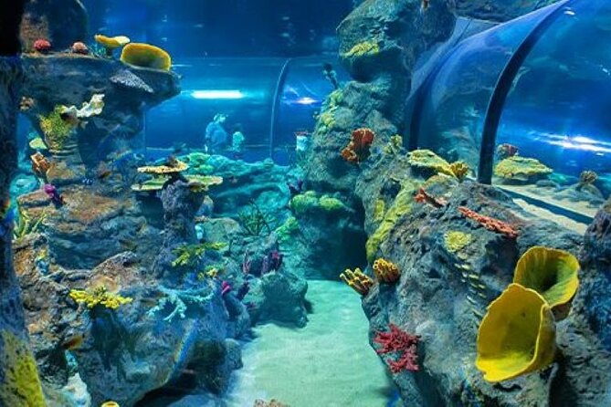 Mauritius Odysseo Oceanarium in Port Louis - How long should you allow?