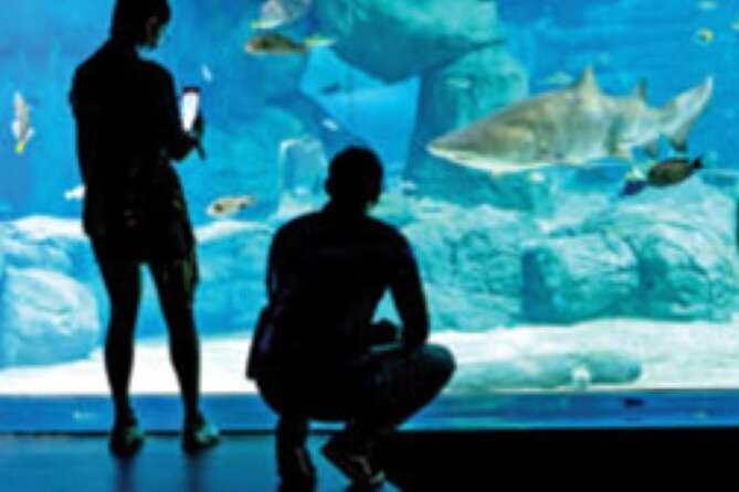 Mauritius Odysseo Oceanarium in Port Louis - Visiting with children