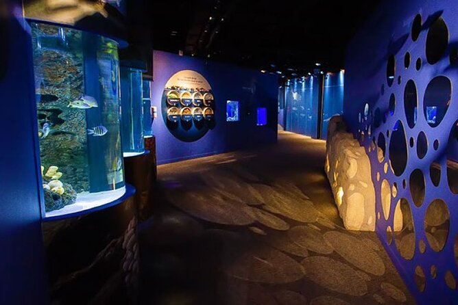 Mauritius Odysseo Oceanarium in Port Louis - The main tank and underwater tunnel