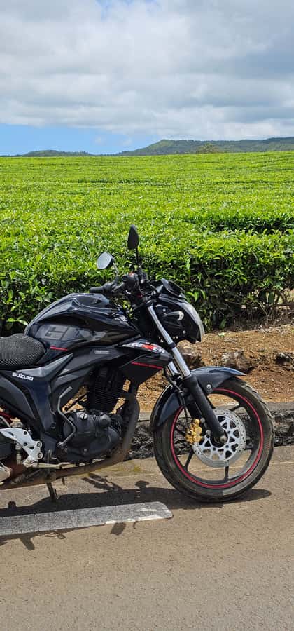Mauritius: On-road Motorcycle Full Day Trip - What the Six Hours Are Worth