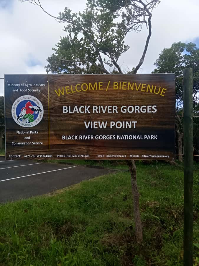 Mauritius: Piton de la Petite Rivière Noire Guided Hike - Key points at a glance