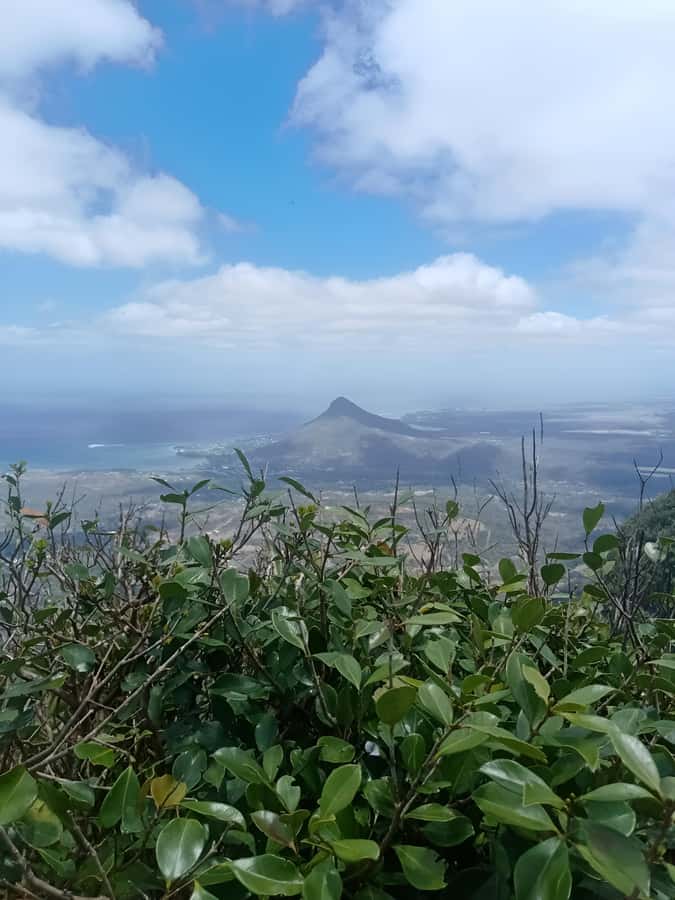 Mauritius: Piton de la Petite Rivière Noire Guided Hike - Why this mountain hike is worth your time