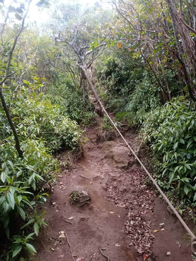 Mauritius: Piton de la Petite Rivière Noire Guided Hike - How the $53 price holds up