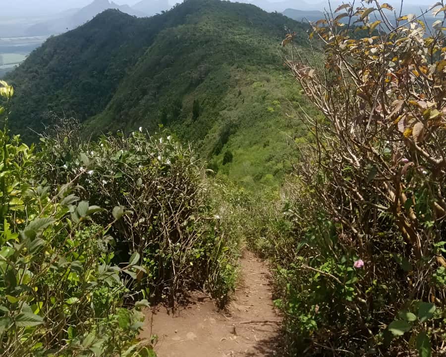 Mauritius: Piton de la Petite Rivière Noire Guided Hike - Final verdict: should you book it?