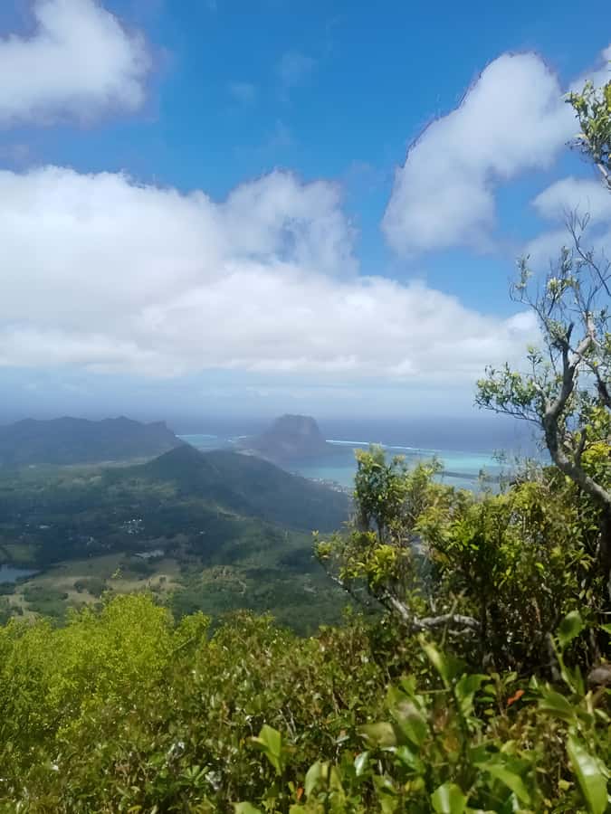 Mauritius: Piton de la Petite Rivière Noire Guided Hike - Meeting at Plaine Champagne Viewpoint