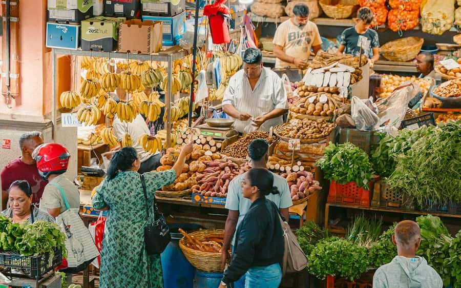 Mauritius: Port Louis and Northern Highlights Full-Day Trip - Key points at a glance