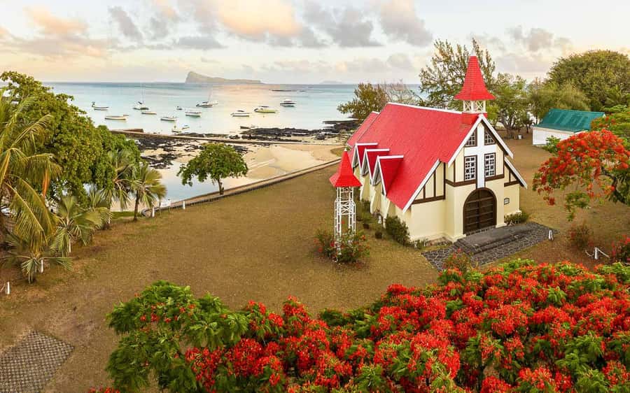 Mauritius: Port Louis and Northern Highlights Full-Day Trip - Reading Port Louis through the Central Market