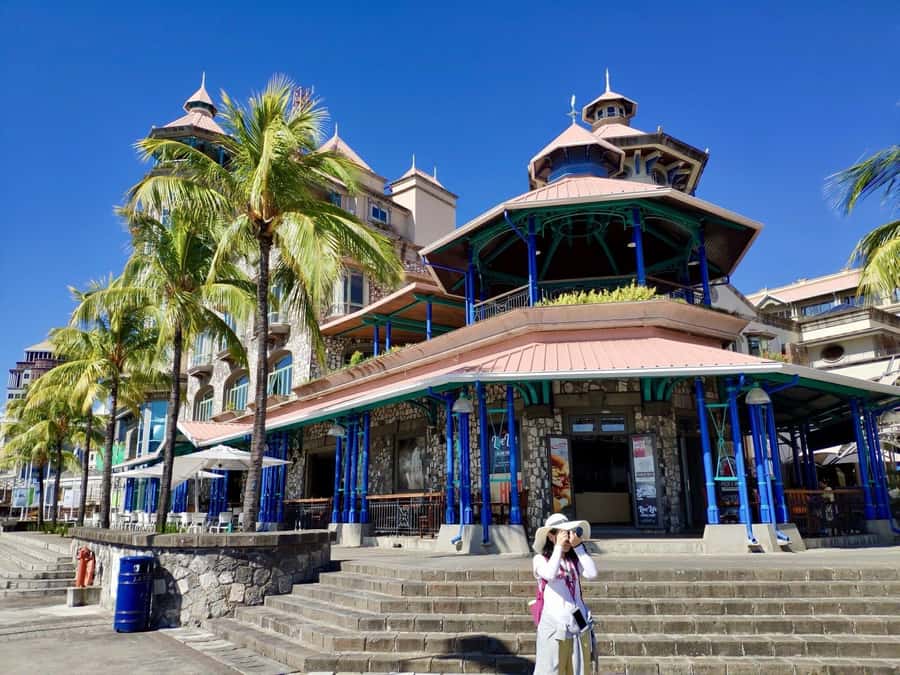Mauritius: Port Louis and Northern Highlights Full-Day Trip - Shopping and harbor views at Caudan Waterfront