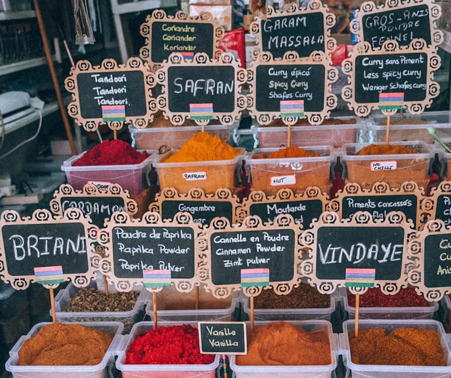 Mauritius: Port Louis and Northern Highlights Full-Day Trip - Who will get the most from this tour?