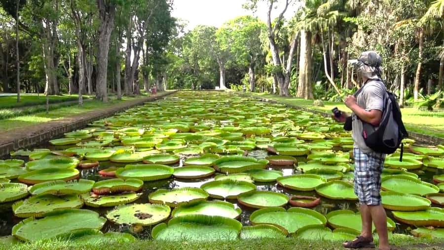 Mauritius: Port Louis and Northern Highlights Full-Day Trip - Starting above Port Louis at Fort Adelaide