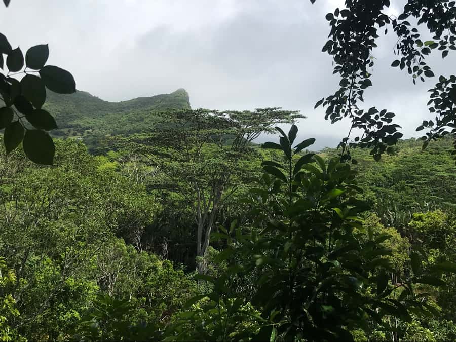 Mauritius: Private Full-Day Iconic Instagram Spots - Ganga Talo, where the tour becomes more personal