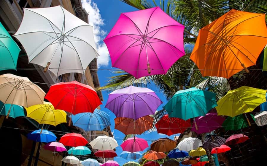 Mauritius: Private Full-Day Iconic Instagram Spots - Who should book this Mauritius day tour?