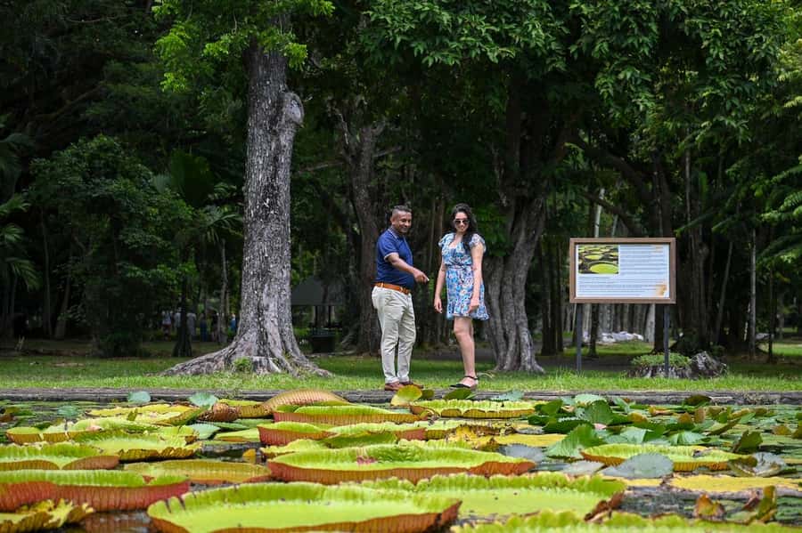 Mauritius: Private Full-Day North Mauritius Tour - La Citadelle: the best broad view of the capital