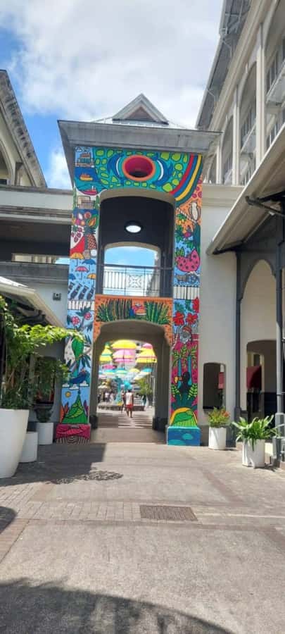 Mauritius: Private Full-Day North Tours - Port Louis markets bring the island close