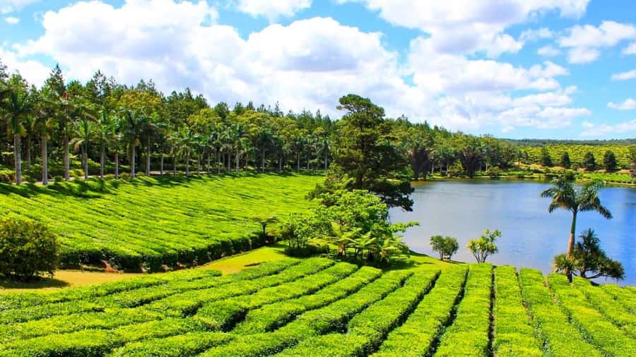 Mauritius: Private Full-Day South Mauritius Tour - Trou aux Cerfs gives you the big picture first