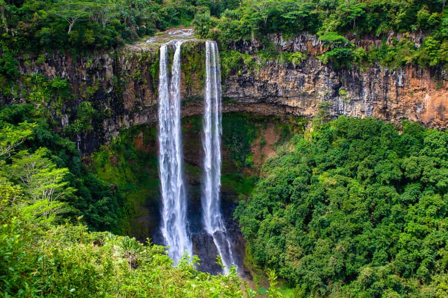 Mauritius: Private Full Day Tour with Entry Tickets & Lunch - Mare aux Vacoas and Plaine Champagne