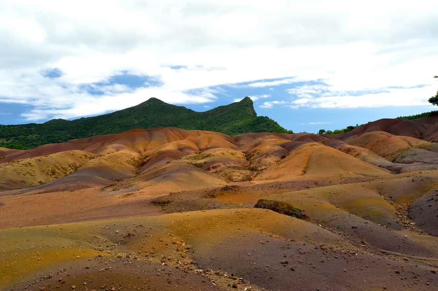 Mauritius: Private Full Day Tour with Entry Tickets & Lunch - Alexandra Falls and Black River Gorges