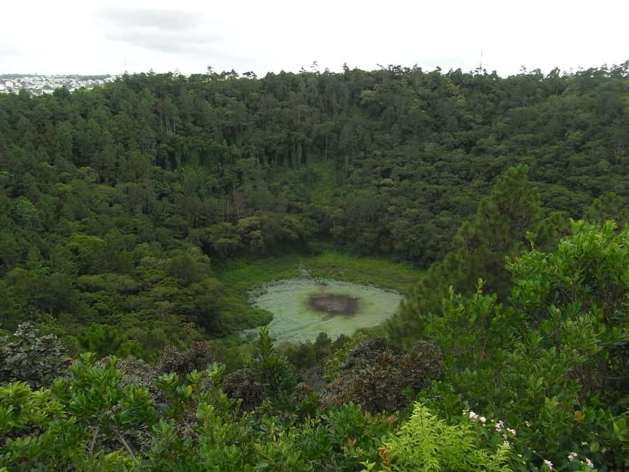 Mauritius: Private Full Day Tour with Entry Tickets & Lunch - The optional Rhumerie stop