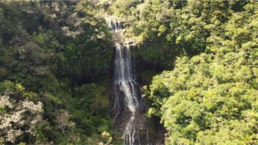 Mauritius: Private Guided South Tour with Pickup - La Vallée des Couleurs and the 23 Colored Earth