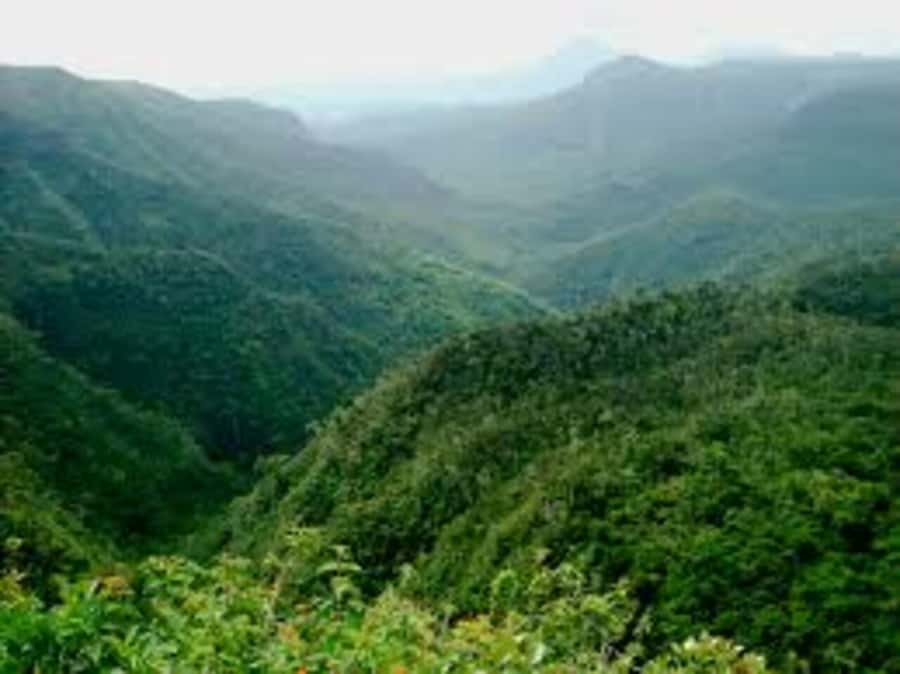 Mauritius: Private Guided South Tour with Pickup - The private minibus makes the route easier