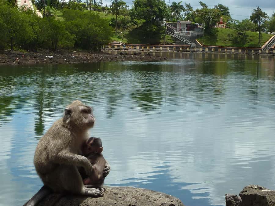 Mauritius: Private Guided South Tour with Pickup - Trou aux Cerfs and the volcanic start