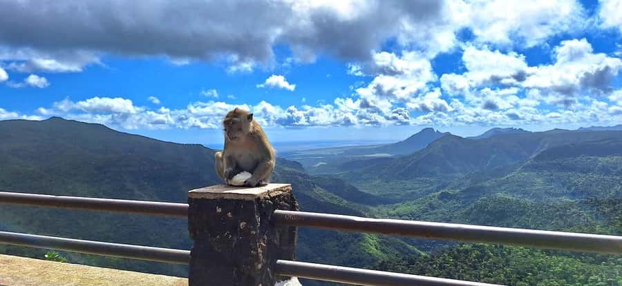 Mauritius: Private South Day Tour with Hotel Transfer - Key points to know before booking