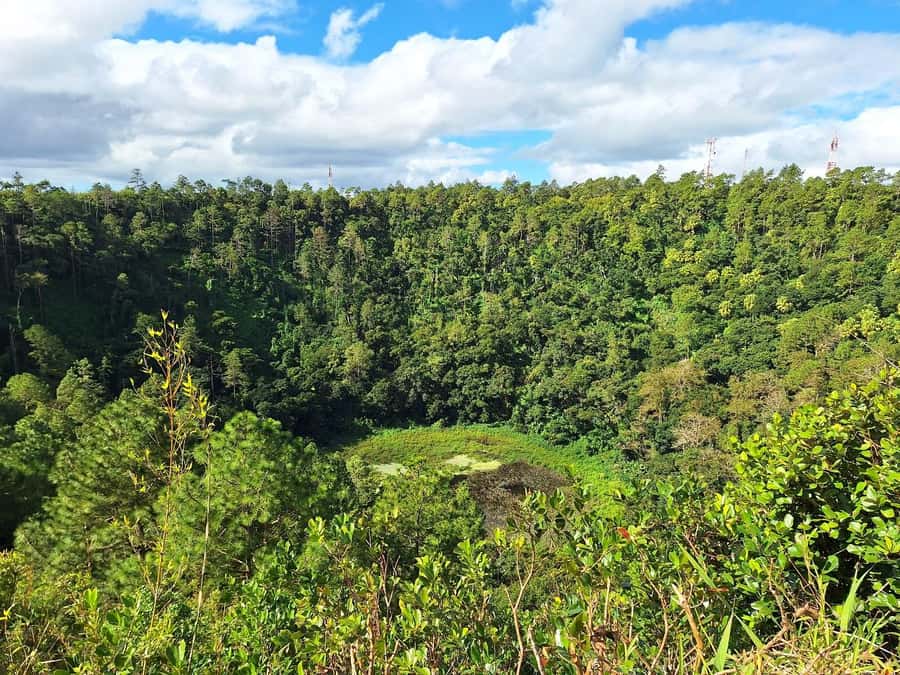 Mauritius: Private South Day Tour with Hotel Transfer - Alexandra Falls and Black River Gorges viewpoints