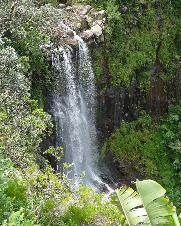 Mauritius: Private South Day Tour with Hotel Transfer - Lunch: flexible, but not included