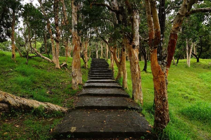 Mauritius: Private South Day Tour with Hotel Transfer - Rum tasting at La Rhumerie de Chamarel