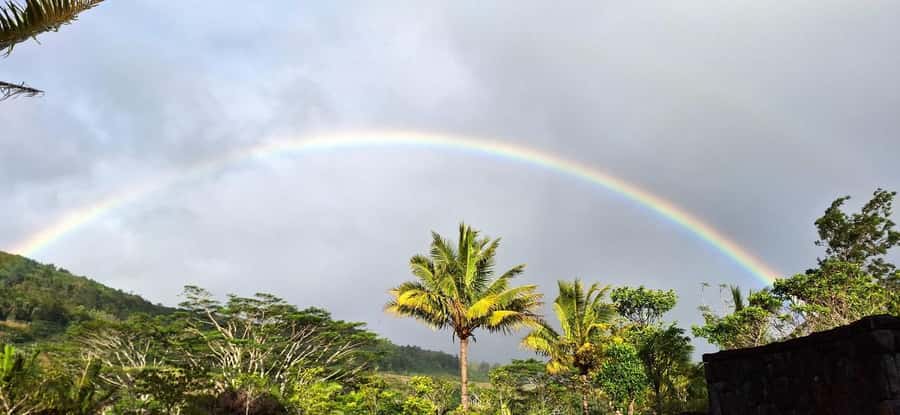 Mauritius: Private South Day Tour with Hotel Transfer - What the $106 price really buys you