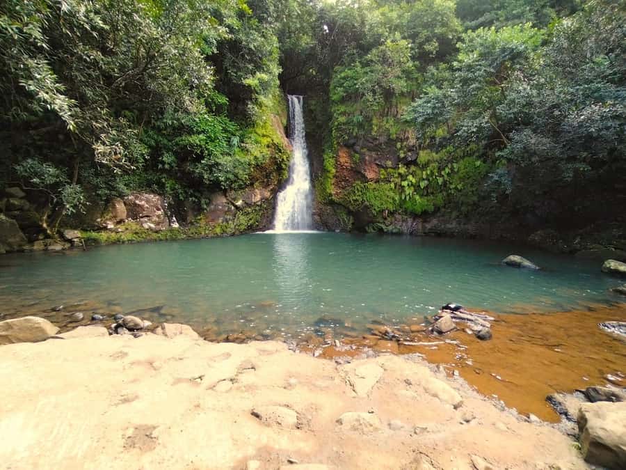 Mauritius: Private South Day Tour with Hotel Transfer - Trou aux Cerfs: a volcano reclaimed by trees
