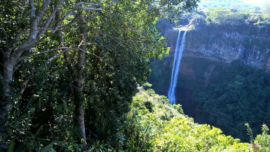 Mauritius: Private South Side and Dolphin Adventure Tour - Breakfast, then a change of pace