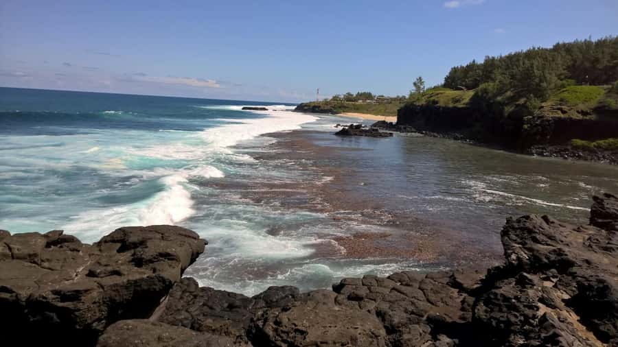 Mauritius: Private South Side and Dolphin Adventure Tour - Swimming with dolphins in the open sea