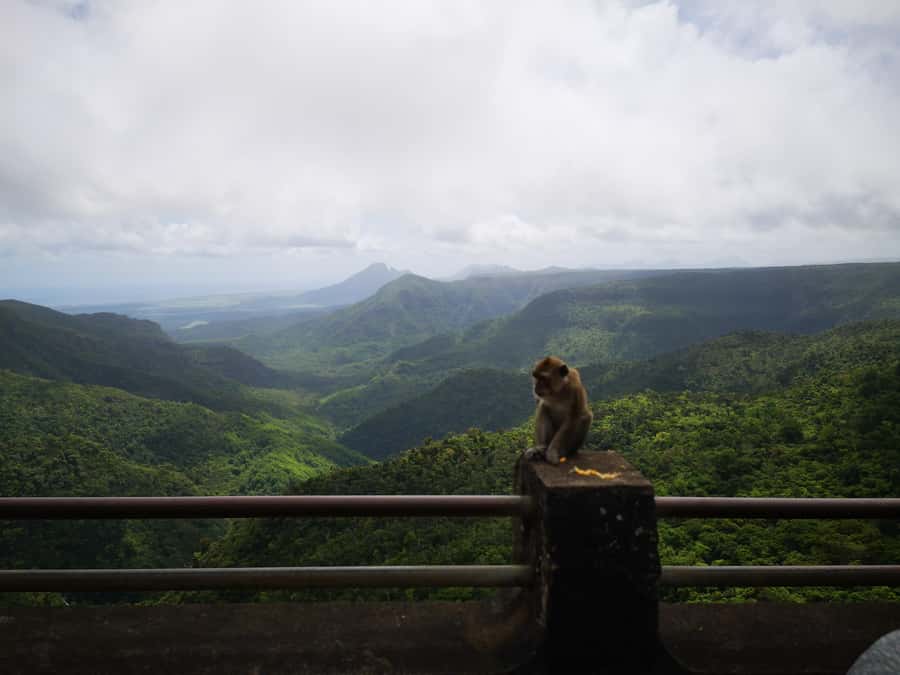 Mauritius: Private South Tour with Pickup - A private start through Curepipe and Floréal