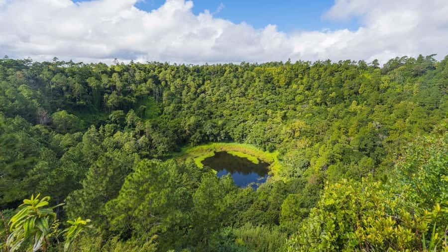 Mauritius: Private South Tour with Pickup - Black River Gorges and Alexandra Waterfall